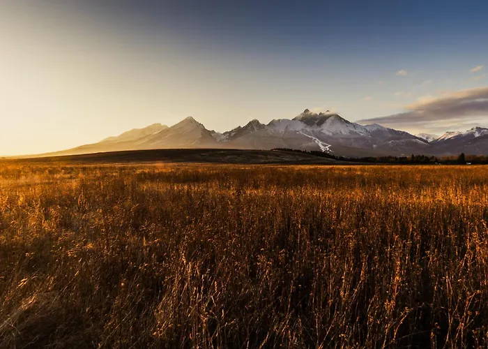 Forest Oasis - Mountain Attic In High Tatras 公寓