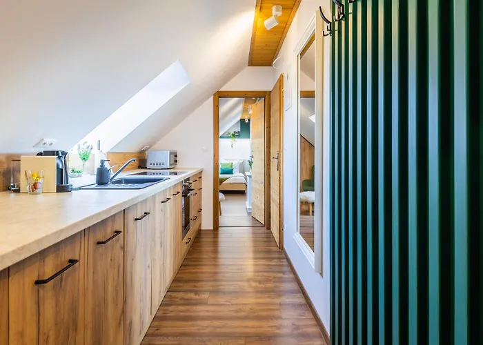 Forest Oasis - Mountain Attic In High Tatras 公寓 韦尔卡鲁穆尼卡